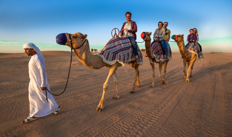 Premium Desert Safari & Lounge Service